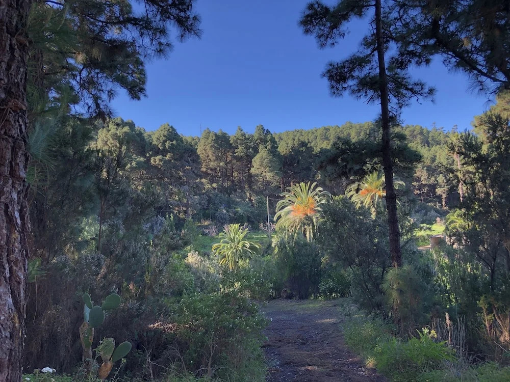 Monte frio de Tenerife