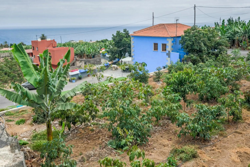 Casa Las Cañas