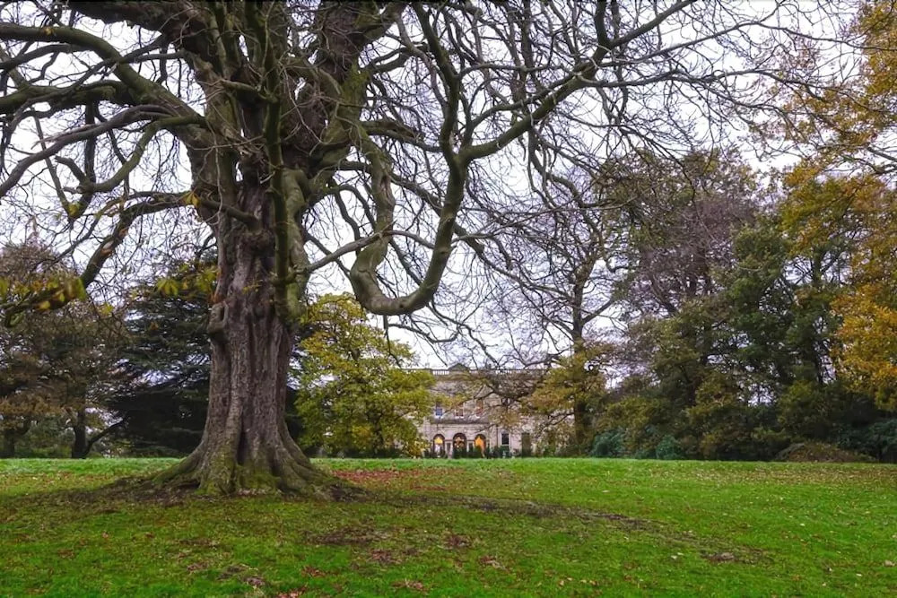 Alfreton Hall