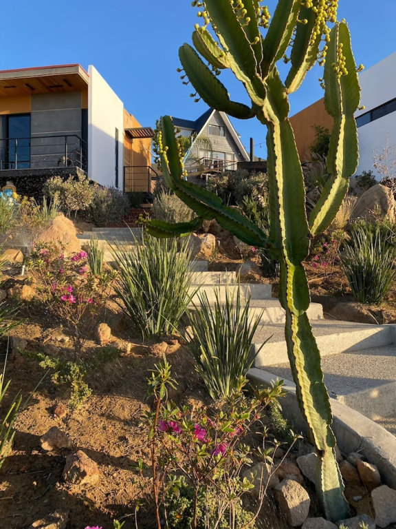 TEMEXKAL RESORT