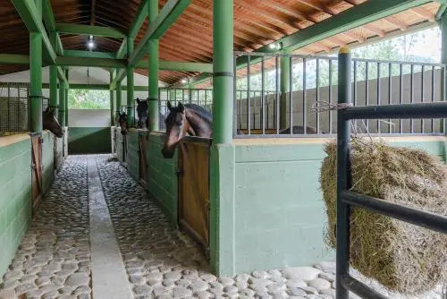 Finca Boutique el Diamante
