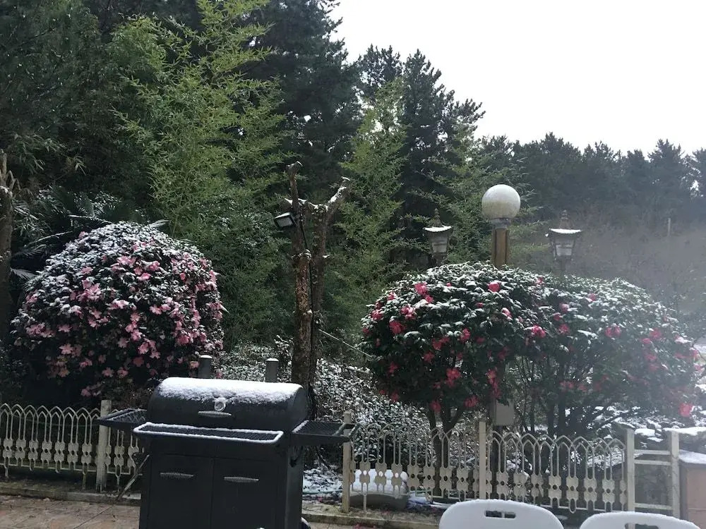 Moncher Guesthouse - Hostel