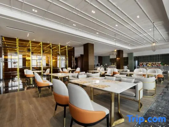 Zhu Zhou Little swan deiss hotel