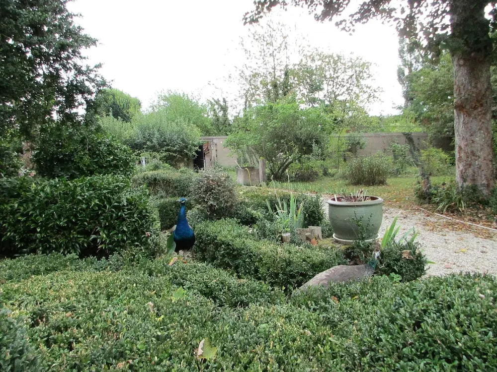 Villa Mazières de St Loup