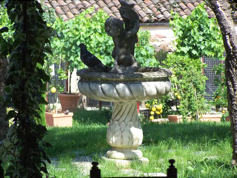 Al Vecchio Gelso
