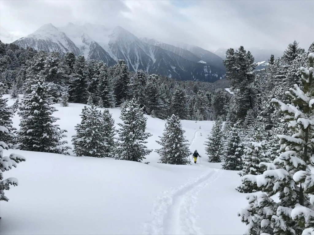 Alpenblick de Luxe