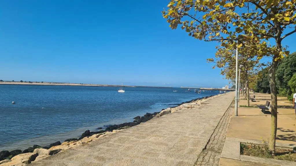 Apartamento vista Douro e Mar