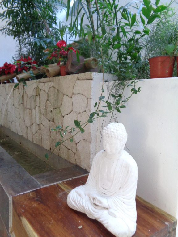 Ocean Zen Suites on 5th Avenue