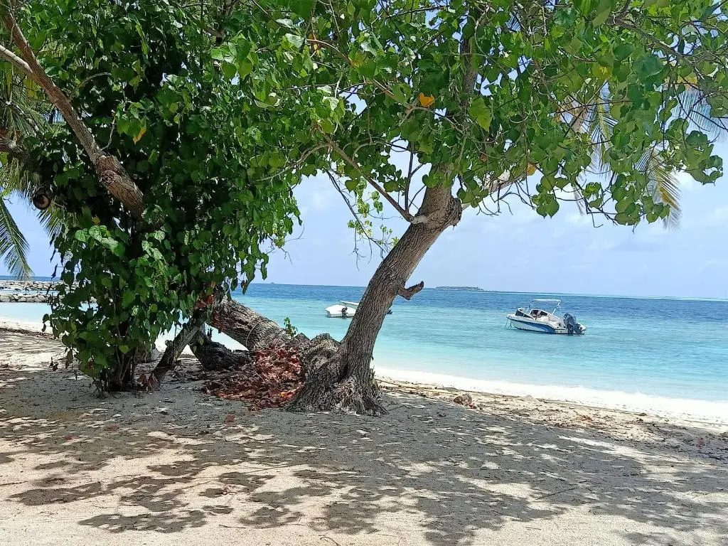 Fins Dive and Leisure Hotel