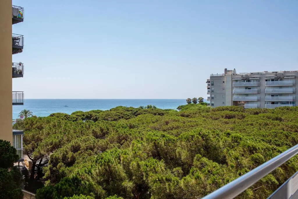 Apartment 60 mtres from the beach