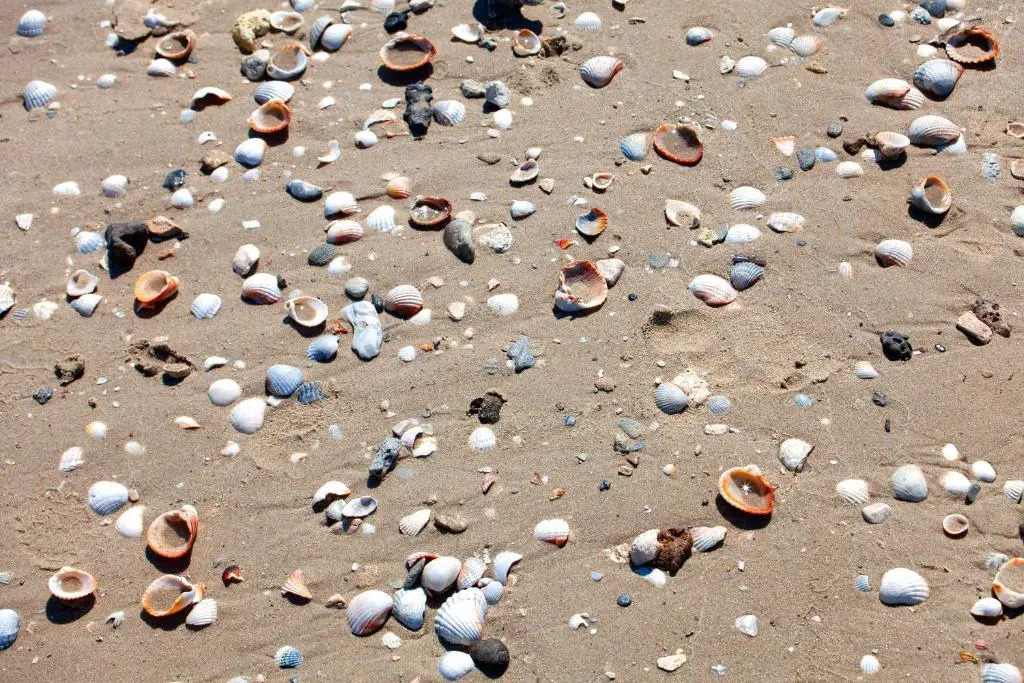 Economico bilocale vicino spiaggia di sabbia m721