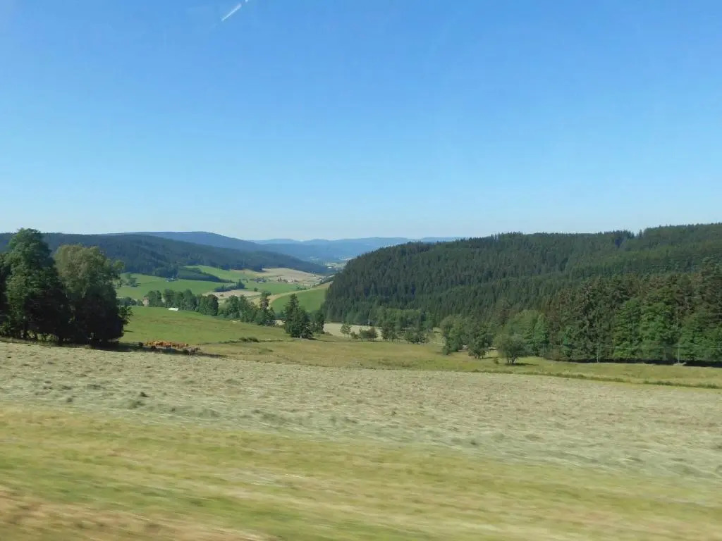 Schwarzwaldgasthaus Salenhof
