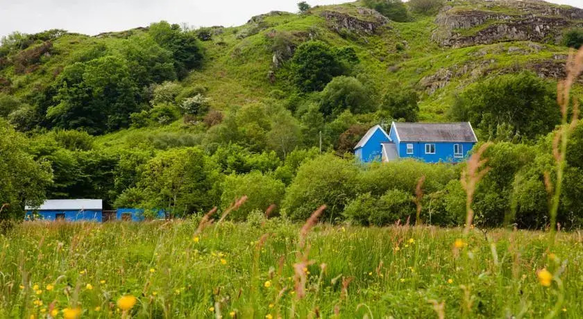 The Snowdon Inn - Y Fricsan