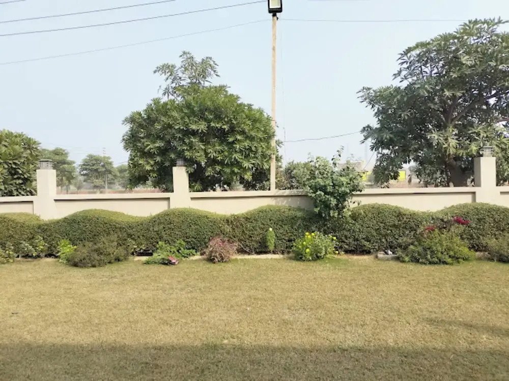 Hotel Shree Ji Inn