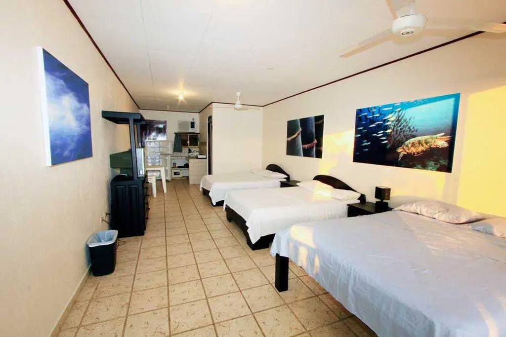 Blue Palm Hotel