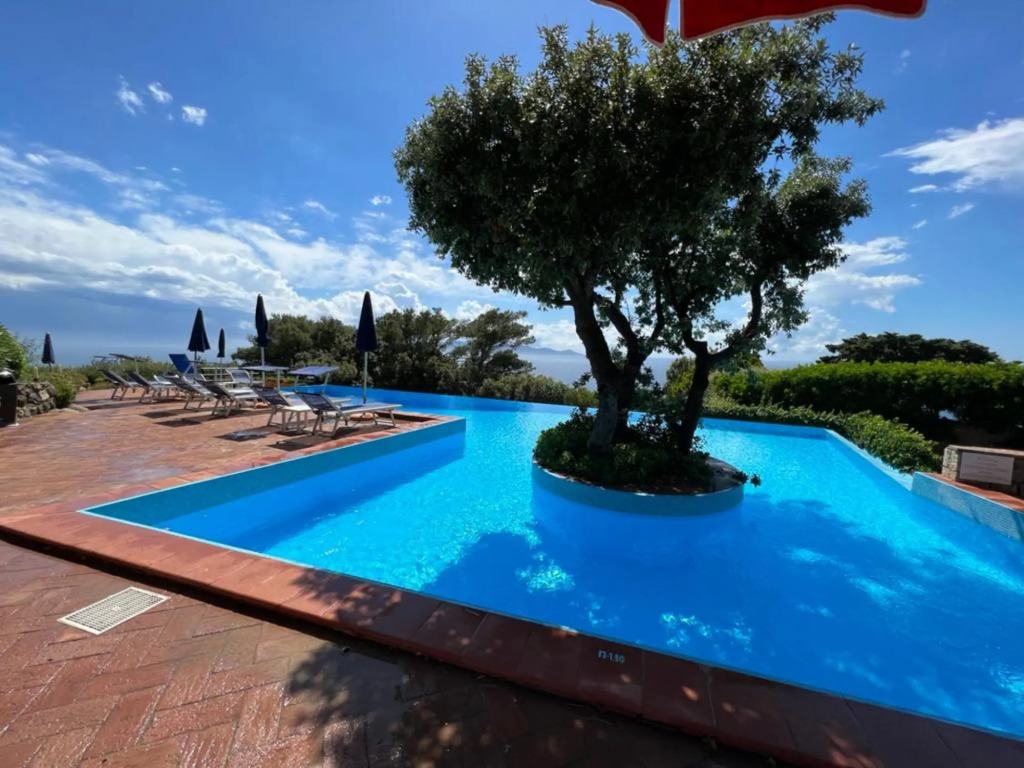 Terrace on the island of Giglio-La Ferraccia