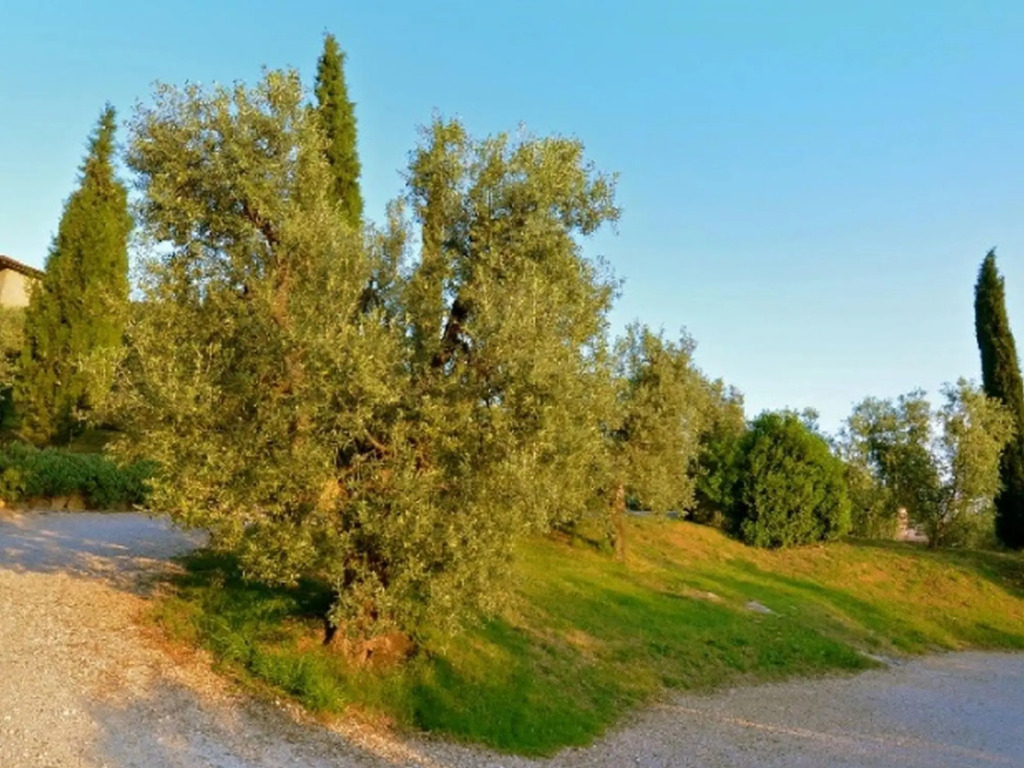 Charming Tuscan Home Wi-fi