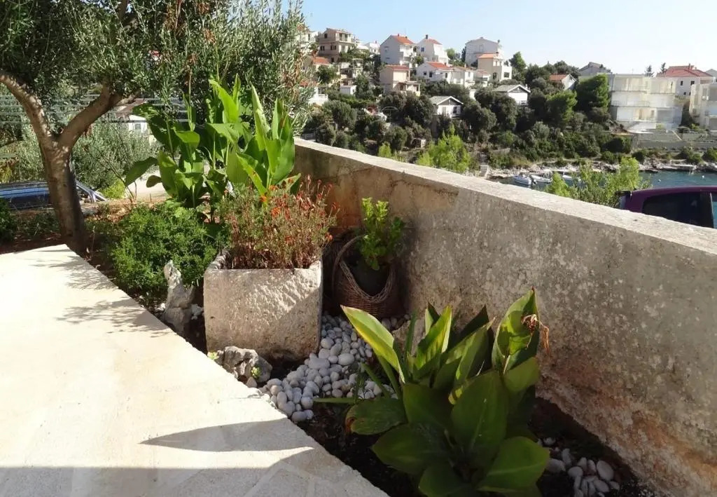 Apartments Branka