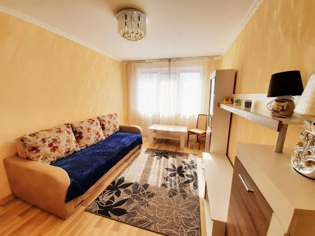 Apartment on Dzenu Street