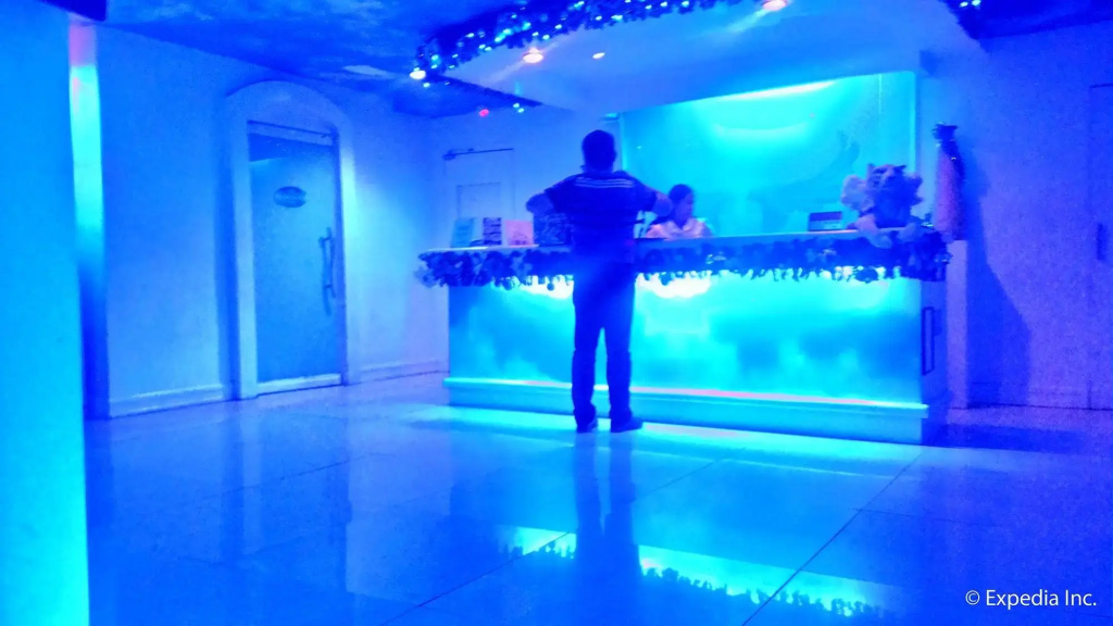 Hotel Paradis