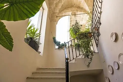 Palazzo delle Viole