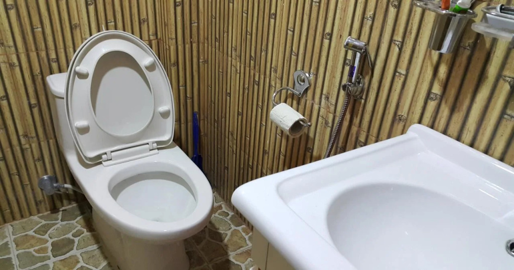 Hotel Bishram