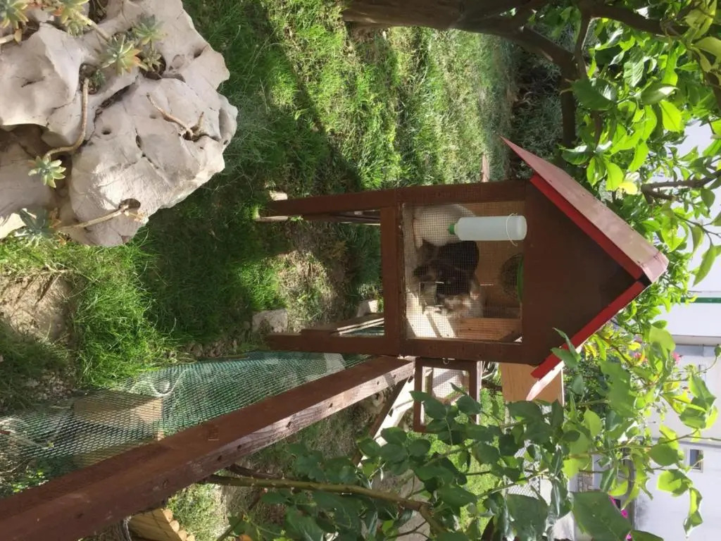 Apartmani Zorica
