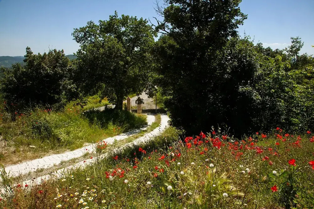 Casale Belvedere con piscina nel bosco