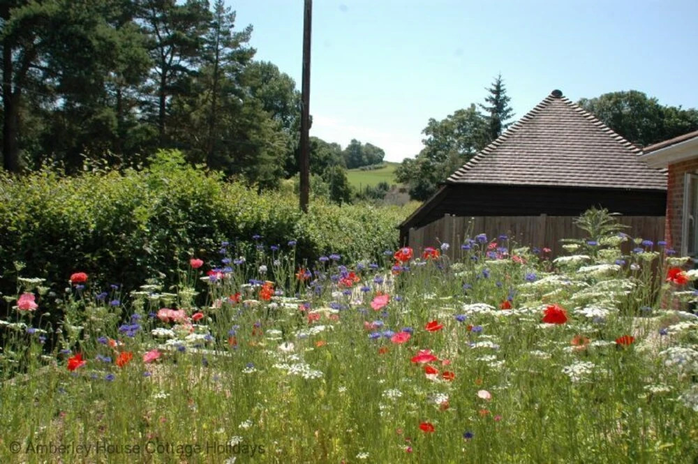 Old Orchard
