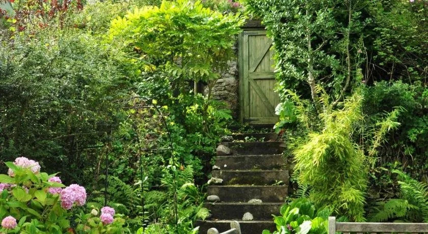 The Fernery