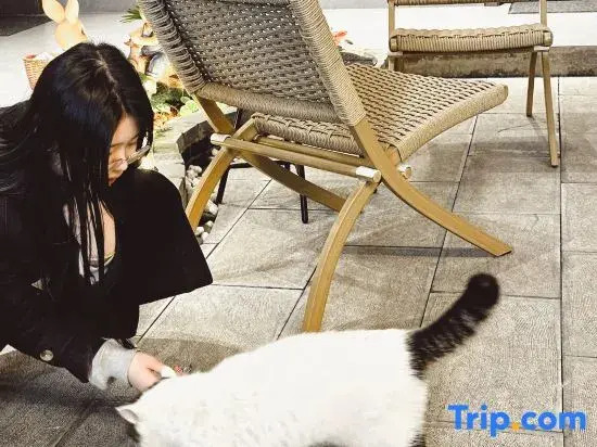 Yunbo Light Luxury Homestay (Dali Ancient City South Gate Branch)