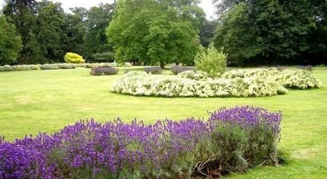 Thornham Hall