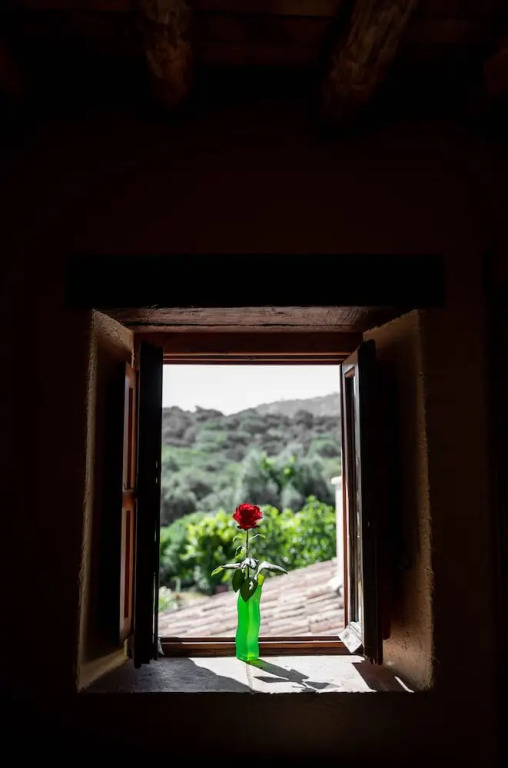 Algaba de Ronda