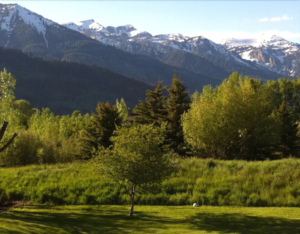 Teton View Bed & Breakfast