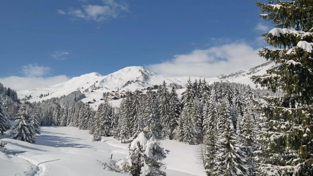 Chalet Idée Fixe