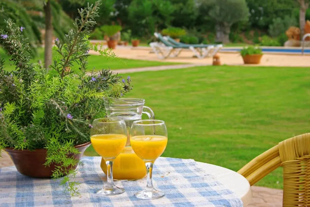 Agroturismo Finca Son Sala