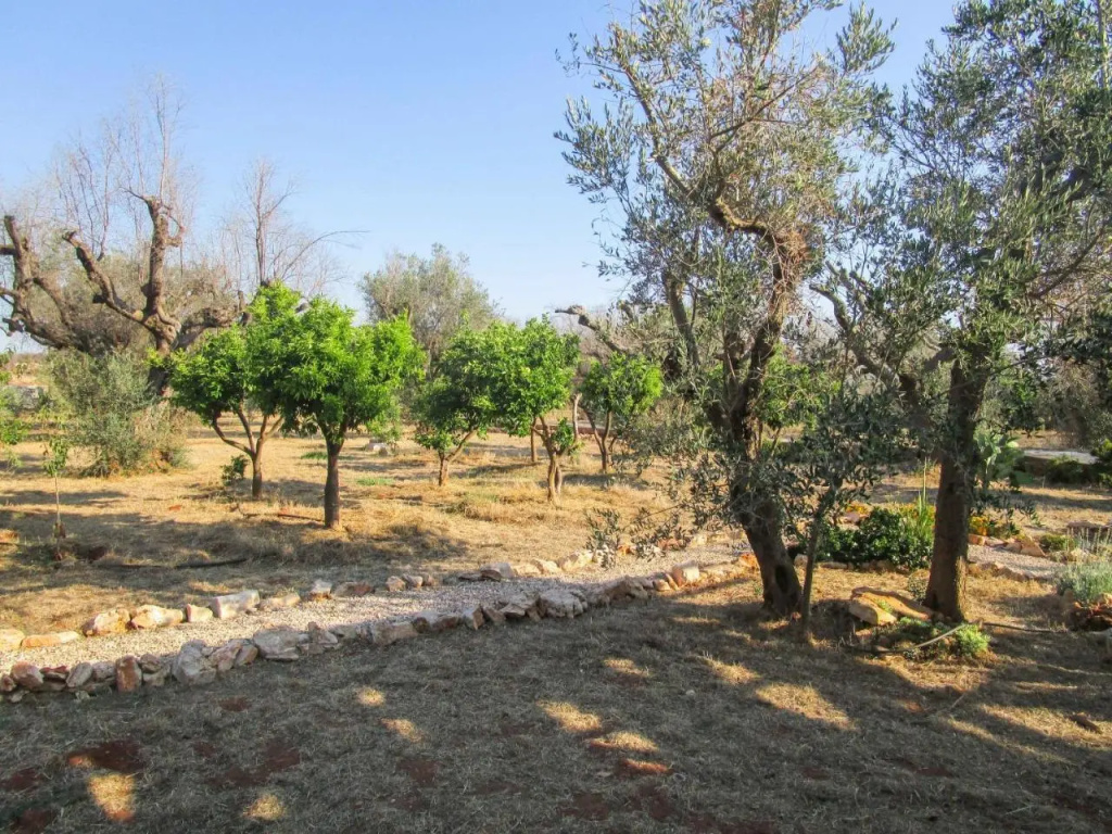 Il Campo