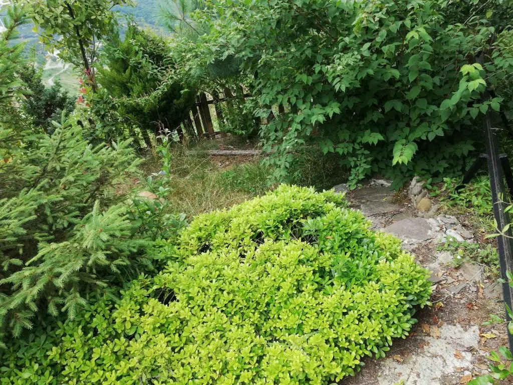 3 yatak odalı dublex villa