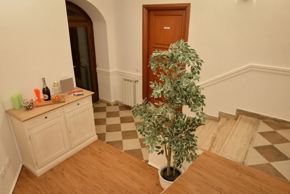 Cimarra Chiara