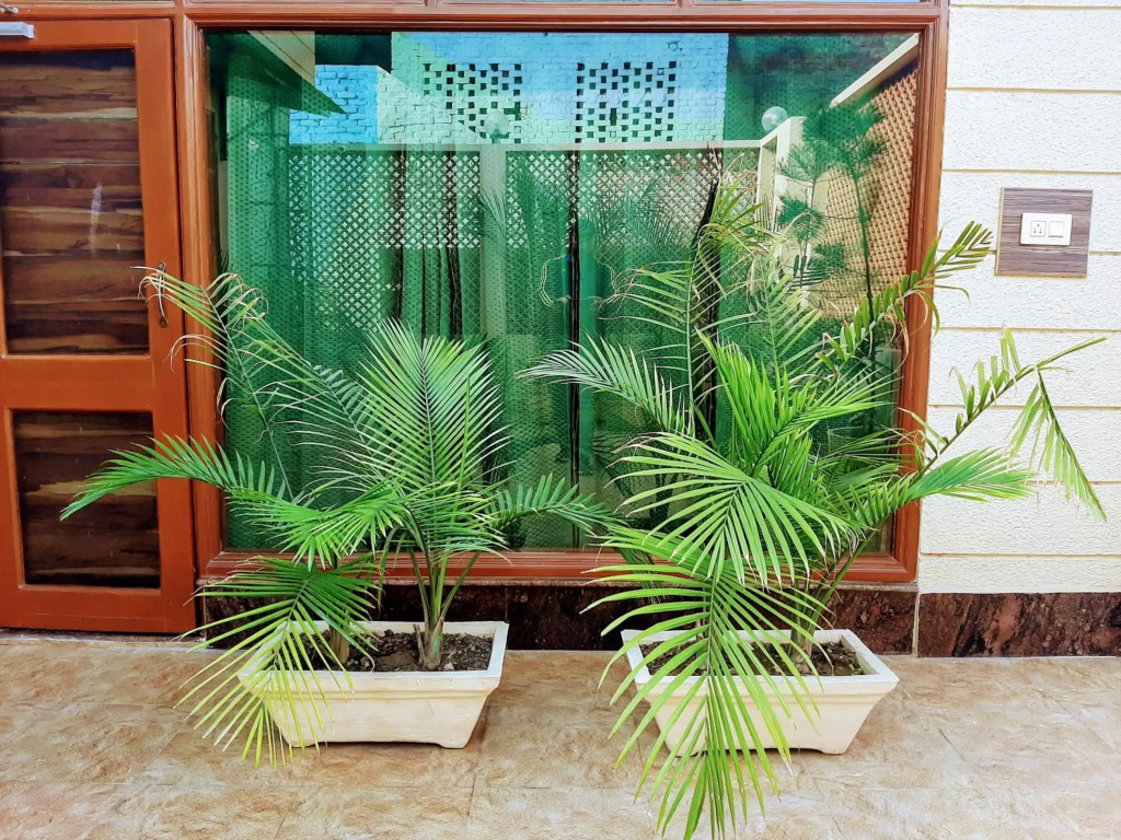 PANCHHI'S NEST Villa