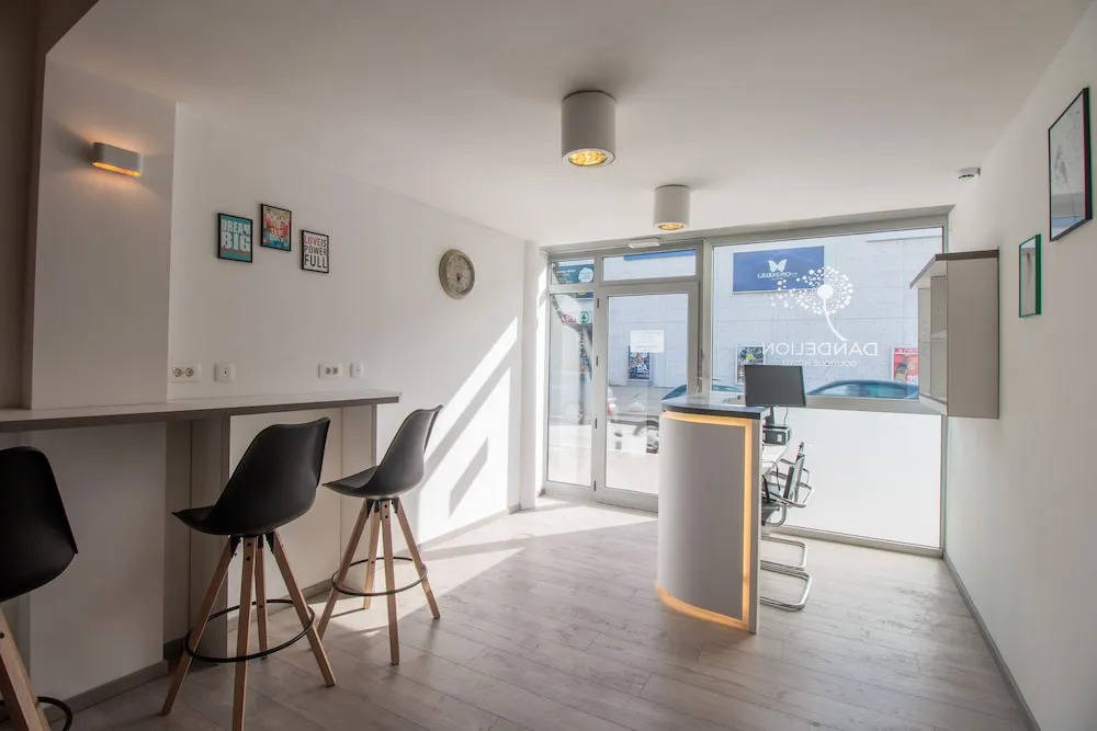Dandelion boutique hostel
