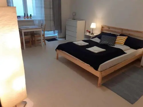 Central Prague Apartment Sokolovska