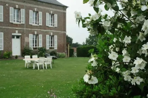 Les Hortensias
