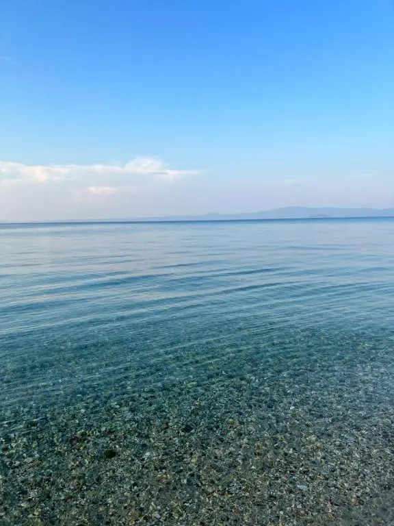 Beach next to the House Agni
