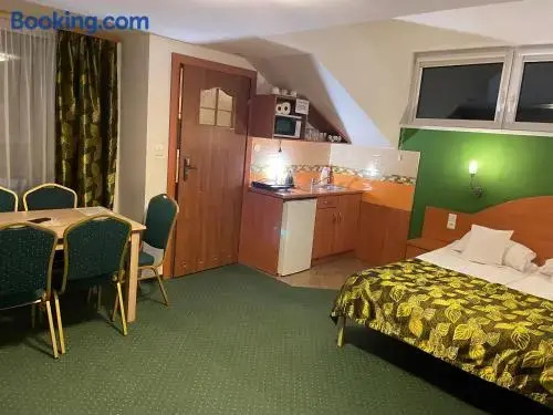 Willa Stenia Center Apartamenty