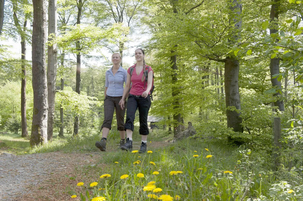 Schlosshotel Brilon-Wald