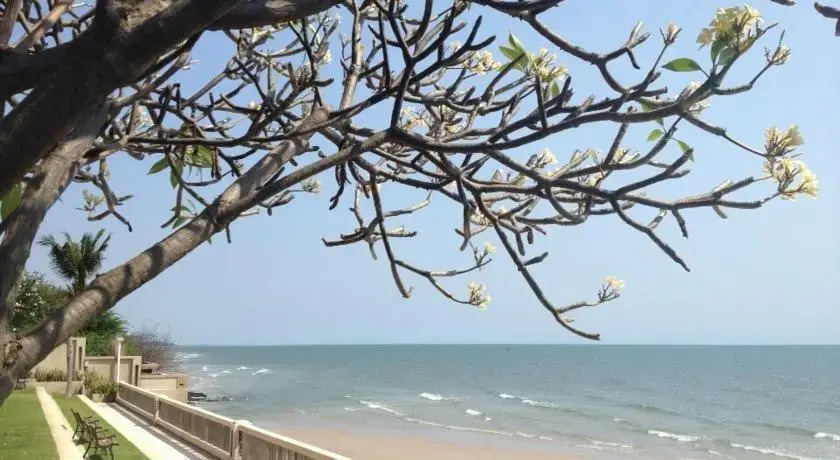 Palm Pavillion Huahin