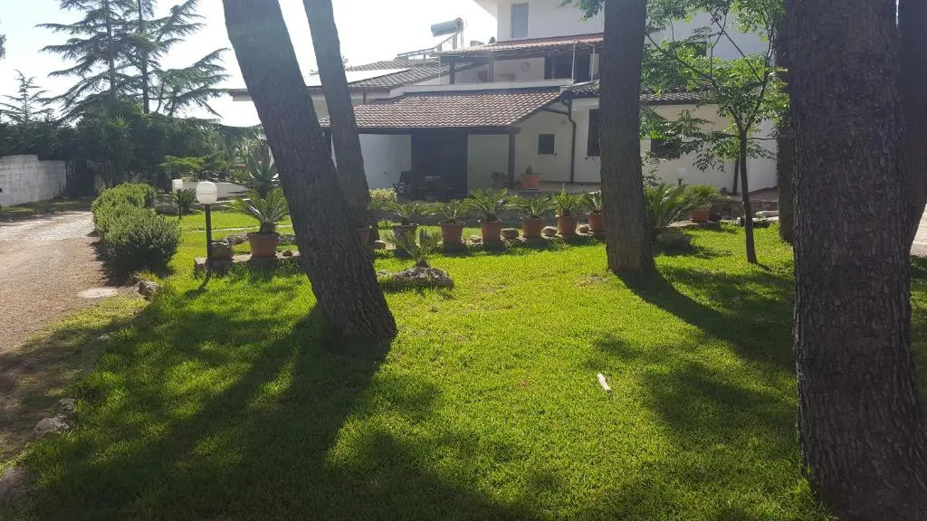 B&B Solepineta