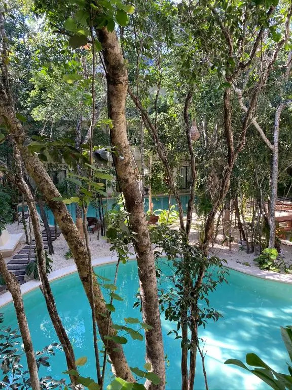 Jungle View 2bed 2bath Condo/ Wi-Fi/ Pool/ Gym