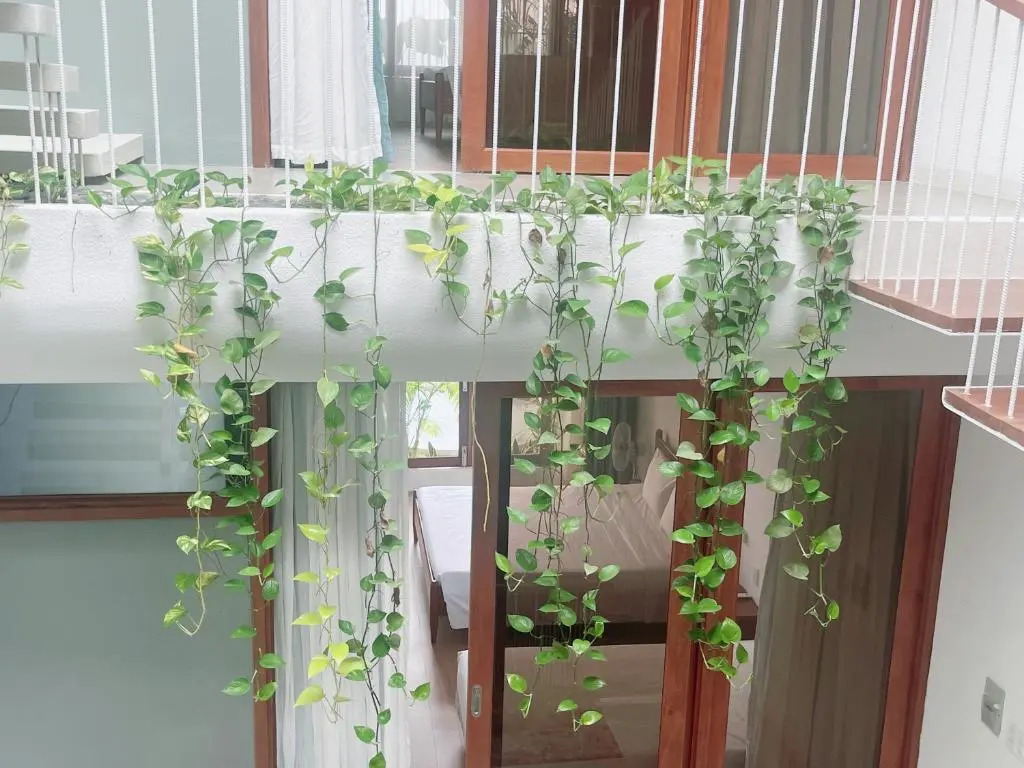 Holi Terrace Villa
